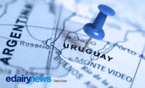 🌎 Enquanto a produção cresce em vários exportadores, o desempenho uruguaio chama atenção na América do Sul.