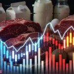 FAO aponta crescimento histórico e revela onde a cadeia ainda perde valor FAO