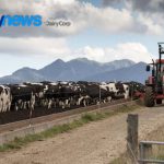 Fonterra vê custos avançarem e admite: ninguém sabe o tamanho do impacto Fonterra