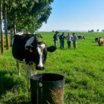 De 29 mil a 300 mil litros: a virada na produção de leite em Campos Novos 🐄 Caso em SC mostra como alimentação e gestão elevaram a produção de leite de forma contínua e estruturada