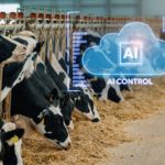 Frísia expande uso de IA para acompanhar 23,5 mil vacas leiteiras Frísia