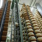 Queijo ralado: por que o processamento nem sempre gera mais valor 🛒 Além das vendas, o queijo ralado ganha relevância como ferramenta de presença de marca e relacionamento com o consumidor.