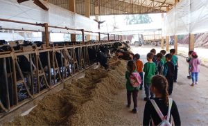 🚜 Uma visita a uma das maiores propriedades leiteiras da região transformou conceitos aprendidos em sala em experiências reais.