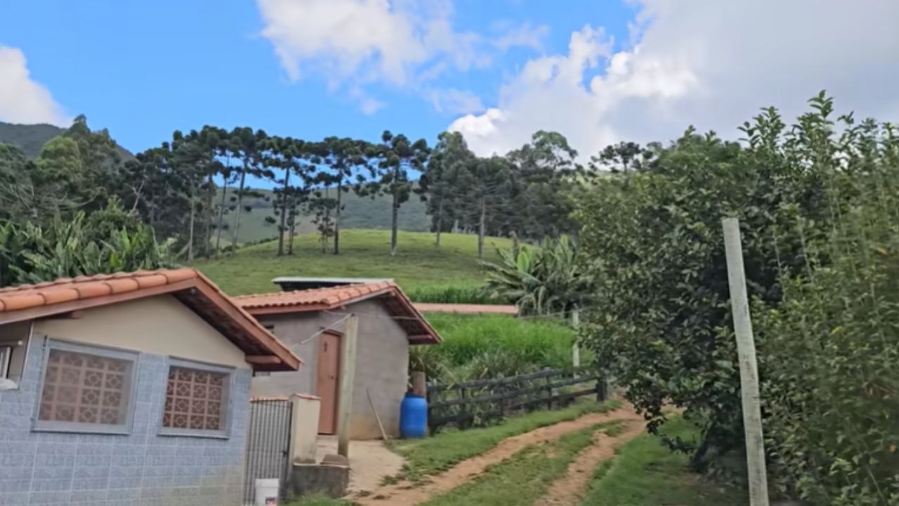 Produtor mineiro mantém fábrica de queijo há 48 anos e transforma pingo antigo em segredo premiado A rotina de seu Jair foi registrada pelo canal Paulo Medeiros, em vídeo publicado em 1º de maio de 2026, que mostrou como ele mantém viva uma tradição rara no sul mineiro.