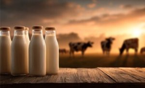 🥛 O Brasil registrou a maior captação de leite da série histórica para o primeiro trimestre, mas Mato Grosso seguiu em direção oposta e perdeu produção.