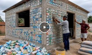 💡 O que parecia apenas lixo acabou ganhando um papel inesperado na construção de uma casa de dois cômodos.