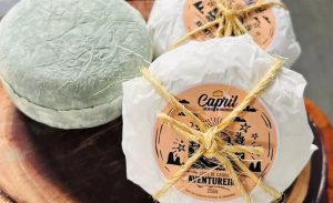Entre perdas, improvisos e descobertas, um produtor transformou um queijo artesanal do Cariri em símbolo de orgulho regional. 🐐