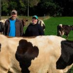 Como uma família elevou a produção de leite em 233% com 36 vacas A produção de leite passou de 6 mil para 20 mil litros por mês após mudanças na gestão e no manejo, sem ampliar o rebanho. 🐄