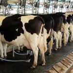 ALMG aprova veto ao leite importado reidratado para venda como fluido 📌 Minas Gerais aprovou uma proposta que restringe o uso de leite importado reidratado e prevê multas e até perda do alvará para quem descumprir a regra.