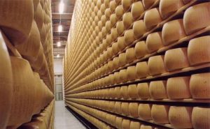 🌡️ O calor extremo já afeta vacas, armazenamento e custos do Parmigiano Reggiano, símbolo da produção italiana.