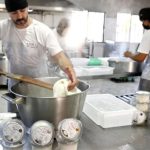 Identidade e tradição fazem do queijo artesanal um negócio em expansão Mais do que alimento, o queijo artesanal se consolida como estratégia para agregar valor ao leite e fortalecer o campo. 🐄