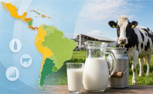 🌾 A alimentação representa entre 52% e 65% do custo de produção de leite, revela estudo que compara 17 países da região.