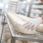 Clima na Europa muda o jogo no preço do queijo mundial Um fenômeno raro no comércio mundial de laticínios está deixando produtores e compradores de olho nos próximos meses.