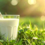Xandô, Letti e Fazenda Bela Vista lideram expansão do leite A2 🐄 A validação científica do leite A2 reforça a segurança do consumidor e amplia as oportunidades desse segmento.