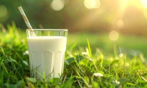 🐄 A validação científica do leite A2 reforça a segurança do consumidor e amplia as oportunidades desse segmento.