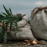 Crédito rural: quem mais financiou os produtores de Santa Catarina? 💰 A liderança nas liberações de crédito rural reforça o avanço das cooperativas e amplia oportunidades de investimento no campo.