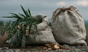💰 A liderança nas liberações de crédito rural reforça o avanço das cooperativas e amplia oportunidades de investimento no campo.