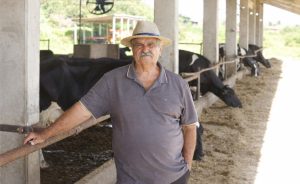 fazenda