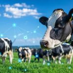 Da reação à previsão: a estratégia do CowGPT para aumentar a rentabilidade 📊 O CowGPT aposta em dados em tempo real para reduzir perdas, melhorar a eficiência do rebanho e apoiar decisões mais rápidas nas fazendas leiteiras.