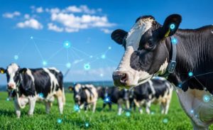 📊 O CowGPT aposta em dados em tempo real para reduzir perdas, melhorar a eficiência do rebanho e apoiar decisões mais rápidas nas fazendas leiteiras.