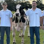 Vaca do Paraná bate quase 200 mil kg de leite e chama atenção global Produção de leite no Paraná ganha destaque mundial com vaca que ultrapassa 199 mil kg e revela força genética dos Campos Gerais