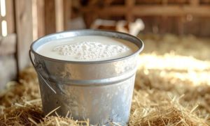 📋 A mudança no ICMS sobre o leite altera o enquadramento tributário de quem produz em parceria na mesma propriedade.