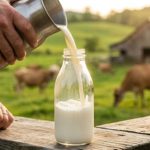 Como o mercado futuro do leite protege a renda do produtor 🐄 Especialistas explicam a produtores paranaenses como funciona o mercado futuro do leite e por que vale a pena conhecê-lo.