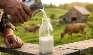 🐄 Especialistas explicam a produtores paranaenses como funciona o mercado futuro do leite e por que vale a pena conhecê-lo.