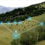 Adeus à cerca de arame: tecnologia alivia rotina no pasto 🐄 Produtores esperaram sete meses por uma mudança que promete transformar o dia a dia no pasto.