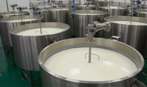 🐄 O avanço da produção leiteira e a chegada de novas fábricas movimentam emprego, indústria e desenvolvimento no Nordeste.