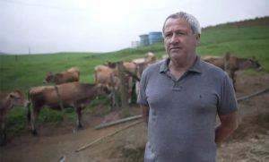 🐄 Um diagnóstico obrigou um produtor de leite a recomeçar do zero. Com indenização e um novo rebanho, a produção voltou a crescer.
