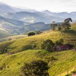 Serra da Mantiqueira: 180 agroindústrias e quase mil toneladas de queijo Na Serra da Mantiqueira, o queijo artesanal une história, ciência da maturação e o retorno de famílias ao campo.