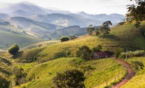 Na Serra da Mantiqueira, o queijo artesanal une história, ciência da maturação e o retorno de famílias ao campo.