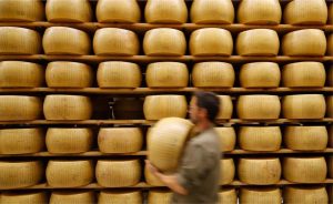 Temperaturas acima de 40°C desafiam vacas, queijarias e armazéns que protegem um dos produtos mais tradicionais da Itália 🌡️