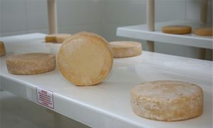A queijaria da EPAMIG em Leme do Prado une pesquisa, capacitação e produção de derivados para fortalecer o leite regional.