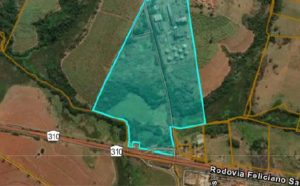 Localização estratégica: o complexo de 50 hectares em Monte Aprazível (SP) situa-se em uma zona nevrálgica do noroeste paulista. Mais do que uma destilaria em leilão, o terreno representa uma "terra prometida" para grupos que buscam infraestrutura industrial pronta para integrar a nova bioeconomia.