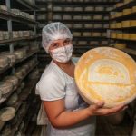 Selo de inspeção define até onde seu laticínio pode ser vendido 📦 A sigla no rótulo do laticínio esconde uma informação decisiva para quem produz e para quem compra.