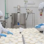 10 curiosidades surpreendentes sobre o alimento mais versátil do mundo queijo alimento