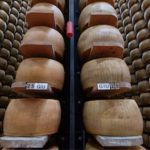 Como o calor extremo pode abalar as garantias do Parmigiano 🧀 Da produção de leite às contas de energia: veja como o calor extremo mexe com um negócio bilionário