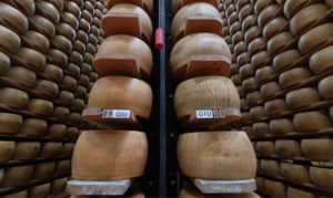 🧀 Da produção de leite às contas de energia: veja como o calor extremo mexe com um negócio bilionário