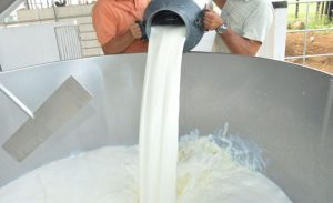 Produtores, indústria e órgãos públicos já foram ouvidos, mas a apuração ainda não chegou ao ponto final. 🥛