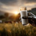 Fazenda leiteira do futuro: automação substitui o trabalhador? leite