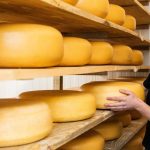 Rabobank alerta: aposta no queijo é risco para a Austrália Australia