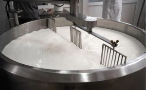 🧀 Uma portaria assinada pela Adapar reacende a expectativa de queijeiros artesanais do Paraná. Veja quais exigências passam a valer.
