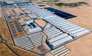 🌵 Entre pivôs de irrigação e temperaturas de mais de 40°C, a Argélia constrói uma das maiores fazendas leiteiras do planeta.