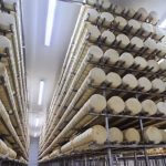 Venda da Matilat marca virada estratégica na BRQfoods BRQfoods