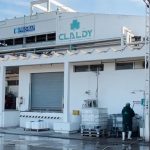 Excesso de leite faz laticínio uruguaio cortar preço do excedente Uruguai