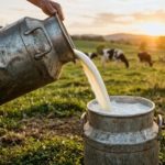 Pagamento por sólidos pode mudar a renda do produtor de leite 🐄 Especialistas reunidos em Curitiba apontam onde o Brasil perde dinheiro no caminho do leite até a indústria — e como reverter isso.