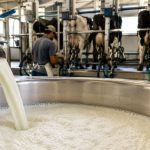 Produtor de leite comemora julho, mas mercado já muda 🥛 Enquanto o preço do leite avançava em julho, outros indicadores do setor já apontavam para um cenário bem diferente pela frente.