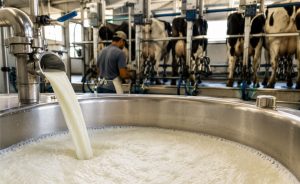 🥛 Enquanto o preço do leite avançava em julho, outros indicadores do setor já apontavam para um cenário bem diferente pela frente.